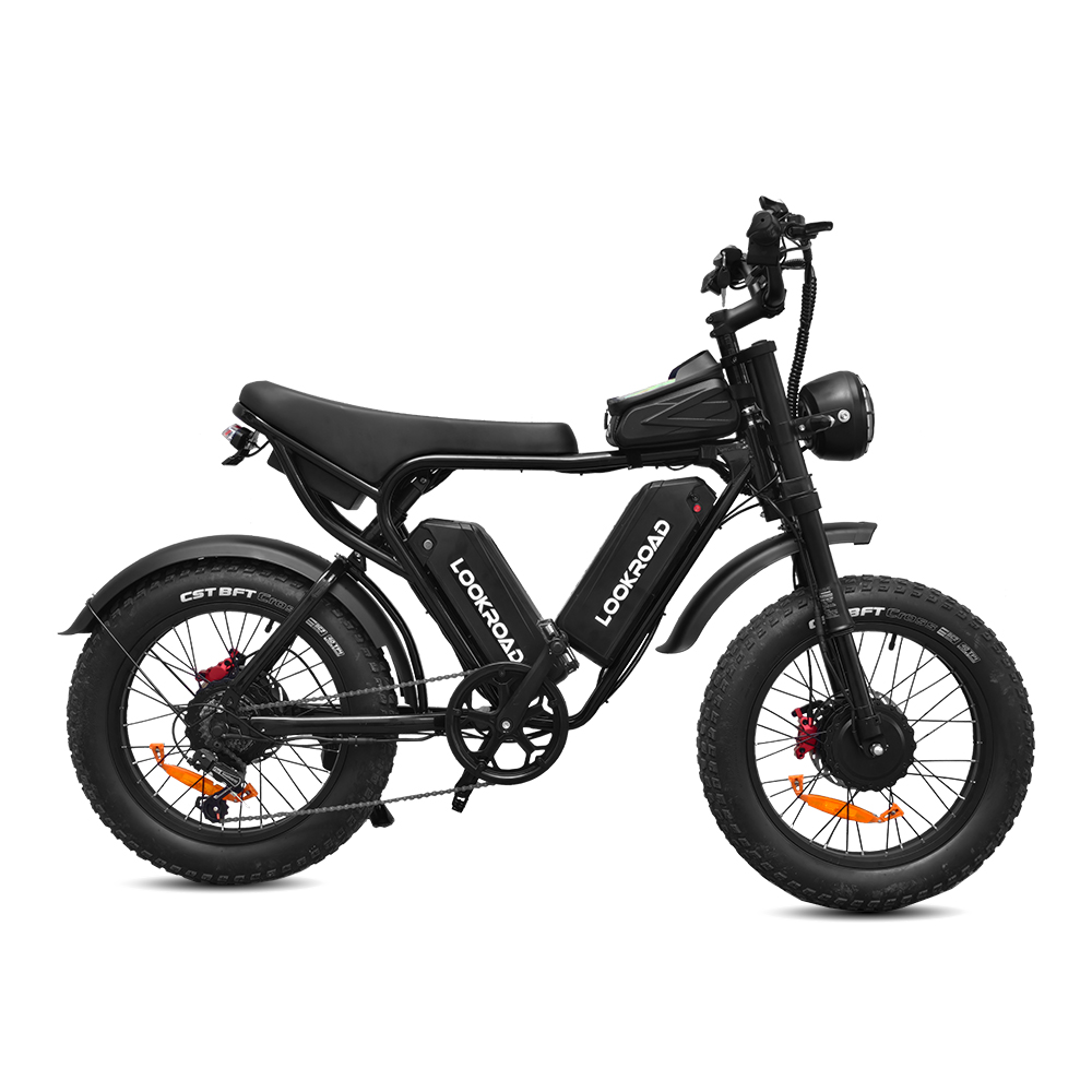 L20 PRO Electric Bike - 2 - veloraebike.com
