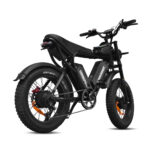 L20 PRO Electric Bike - 4 - veloraebike.com