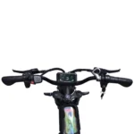 L20 PRO Electric Bike - Q20pro Outlook - veloraebike.com
