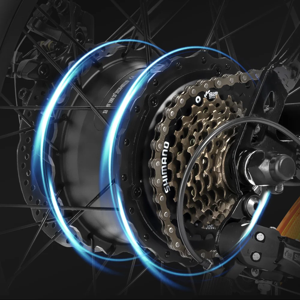 Shimano 1000W High-Performance Motor