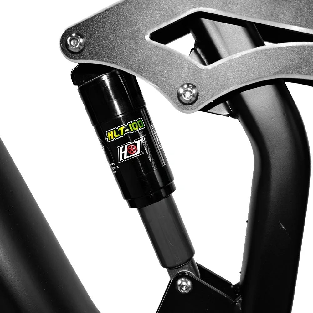 L31 rear suspension shock