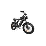 Q20 Electric Bike - 20” Tire - veloraebike.com