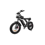 Q20 Electric Bike - 20” Tire - veloraebike.com